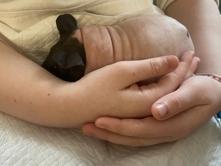 Animal Safari (1).jpeg